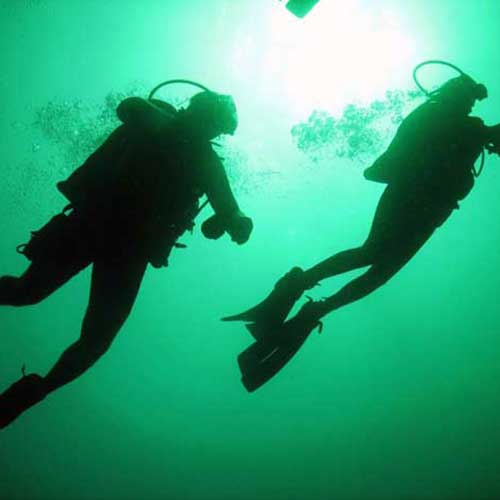 Specialty Instructor